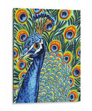 Peacock Plumado I - Carolee Vitaletti | Cuadro decorativo de Canvas Lab