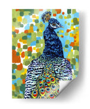 Peacock Plumado Ii - Carolee Vitaletti | Cuadro decorativo de Canvas Lab
