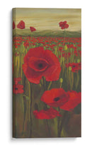Amapolas Rojas En El Campo Ii - Julie Joy | Cuadro decorativo de Canvas Lab