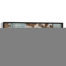 Flor Filigrana Panorama Ii - W. Green-Aldridge | Cuadro decorativo de Canvas Lab