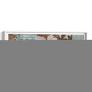 Flor Filigrana Panorama Ii - W. Green-Aldridge | Cuadro decorativo de Canvas Lab