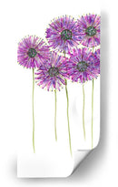 Pinwheels I - Deborah Velasquez | Cuadro decorativo de Canvas Lab