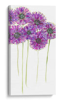 Pinwheels Ii - Deborah Velasquez | Cuadro decorativo de Canvas Lab