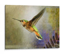 Vuelo Hummer - Chris Vest | Cuadro decorativo de Canvas Lab