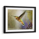 Vuelo Hummer - Chris Vest | Cuadro decorativo de Canvas Lab