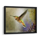 Vuelo Hummer - Chris Vest | Cuadro decorativo de Canvas Lab