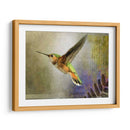 Vuelo Hummer - Chris Vest | Cuadro decorativo de Canvas Lab