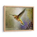 Vuelo Hummer - Chris Vest | Cuadro decorativo de Canvas Lab
