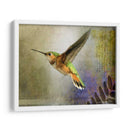 Vuelo Hummer - Chris Vest | Cuadro decorativo de Canvas Lab