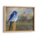 Pájaro Azul De La Montaña - Chris Vest | Cuadro decorativo de Canvas Lab