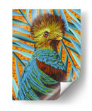 Pájaro En Los Trópicos I - Carolee Vitaletti | Cuadro decorativo de Canvas Lab