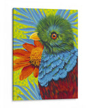 Pájaro En Los Trópicos Ii - Carolee Vitaletti | Cuadro decorativo de Canvas Lab
