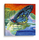 Mariposa Poised Ii - Carolee Vitaletti | Cuadro decorativo de Canvas Lab