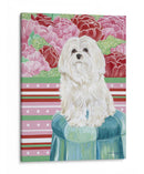 Della Rosa Maltés - Carolee Vitaletti | Cuadro decorativo de Canvas Lab