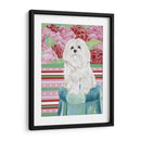 Della Rosa Maltés - Carolee Vitaletti | Cuadro decorativo de Canvas Lab