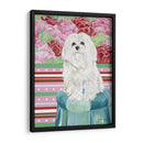 Della Rosa Maltés - Carolee Vitaletti | Cuadro decorativo de Canvas Lab