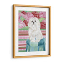 Della Rosa Maltés - Carolee Vitaletti | Cuadro decorativo de Canvas Lab