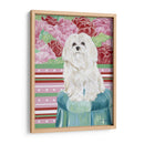 Della Rosa Maltés - Carolee Vitaletti | Cuadro decorativo de Canvas Lab