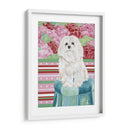 Della Rosa Maltés - Carolee Vitaletti | Cuadro decorativo de Canvas Lab