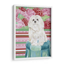 Della Rosa Maltés - Carolee Vitaletti | Cuadro decorativo de Canvas Lab