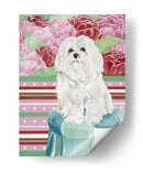 Della Rosa Maltés - Carolee Vitaletti | Cuadro decorativo de Canvas Lab