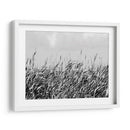 Duna Triptych I - Jeff Pica | Cuadro decorativo de Canvas Lab