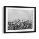 Dune Trivtych Ii - Jeff Pica | Cuadro decorativo de Canvas Lab