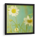 Flores Blancas Iv - Jennifer Jorgensen | Cuadro decorativo de Canvas Lab