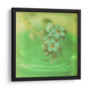 Flores Blancas Vii - Jennifer Jorgensen | Cuadro decorativo de Canvas Lab