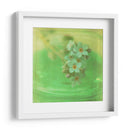 Flores Blancas Vii - Jennifer Jorgensen | Cuadro decorativo de Canvas Lab