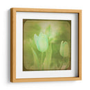 Flores Blancas Viii - Jennifer Jorgensen | Cuadro decorativo de Canvas Lab