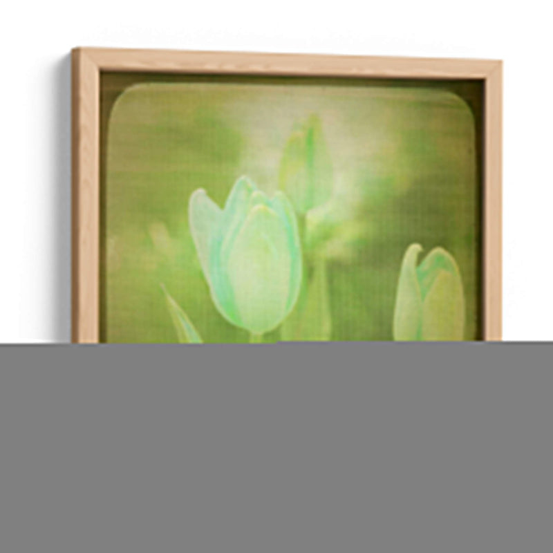 Flores Blancas Viii - Jennifer Jorgensen | Cuadro decorativo de Canvas Lab