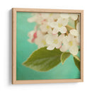 Flores Blancas Ix - Jennifer Jorgensen | Cuadro decorativo de Canvas Lab