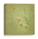 Sueños Filtrados Ii - Jennifer Jorgensen | Cuadro decorativo de Canvas Lab