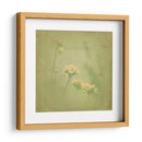 Sueños Filtrados Ii - Jennifer Jorgensen | Cuadro decorativo de Canvas Lab