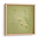 Sueños Filtrados Ii - Jennifer Jorgensen | Cuadro decorativo de Canvas Lab