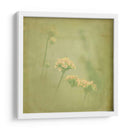 Sueños Filtrados Ii - Jennifer Jorgensen | Cuadro decorativo de Canvas Lab