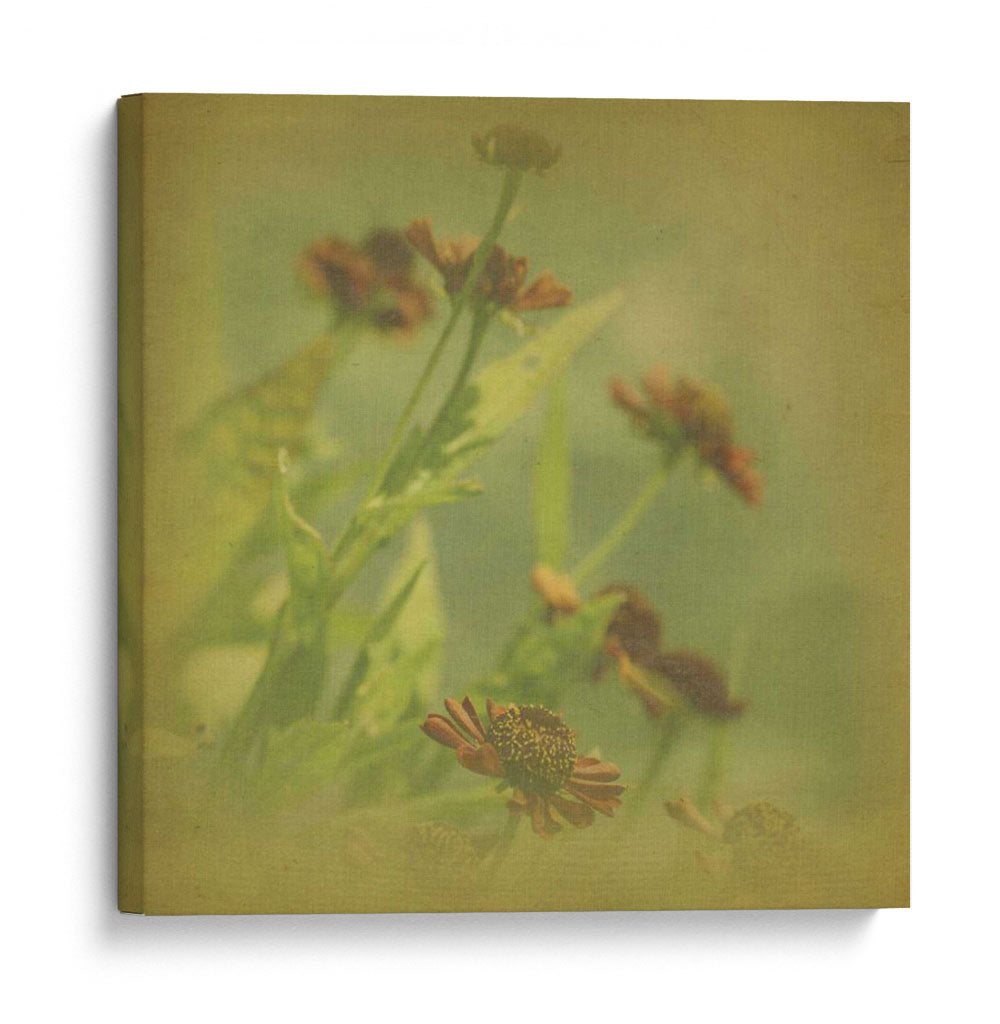 Sueños Filtrados Iii - Jennifer Jorgensen | Cuadro decorativo de Canvas Lab