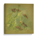 Sueños Filtrados Iii - Jennifer Jorgensen | Cuadro decorativo de Canvas Lab