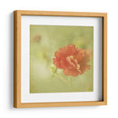 Sueños Filtrados Iv - Jennifer Jorgensen | Cuadro decorativo de Canvas Lab