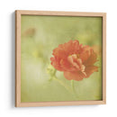 Sueños Filtrados Iv - Jennifer Jorgensen | Cuadro decorativo de Canvas Lab