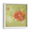 Sueños Filtrados Iv - Jennifer Jorgensen | Cuadro decorativo de Canvas Lab