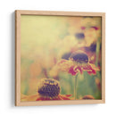 Sueños Filtrados V - Jennifer Jorgensen | Cuadro decorativo de Canvas Lab