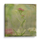 Sueños Filtrados Vi - Jennifer Jorgensen | Cuadro decorativo de Canvas Lab