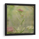 Sueños Filtrados Vi - Jennifer Jorgensen | Cuadro decorativo de Canvas Lab