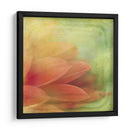 Sueños Filtrados Vii - Jennifer Jorgensen | Cuadro decorativo de Canvas Lab