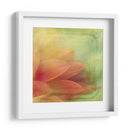 Sueños Filtrados Vii - Jennifer Jorgensen | Cuadro decorativo de Canvas Lab