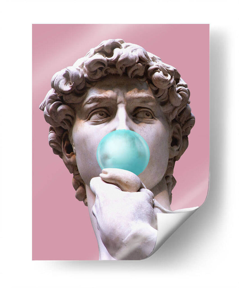 The David Bubblegum Pink - Fake Classics | Cuadro decorativo de Canvas Lab