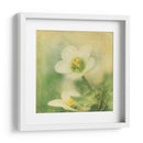 Sueños Filtrados Ix - Jennifer Jorgensen | Cuadro decorativo de Canvas Lab