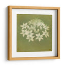 Sueños Filtrados Xi - Jennifer Jorgensen | Cuadro decorativo de Canvas Lab